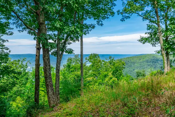 0 Whiskey Way #384, Jasper, TN 37347