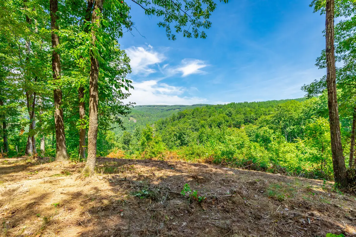 0 Birds Eye Way #Lot 1060, Guild, TN 37340 - #1