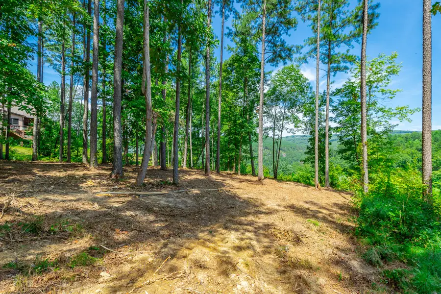0 Birds Eye Way #Lot 1060, Guild, TN 37340 - #2