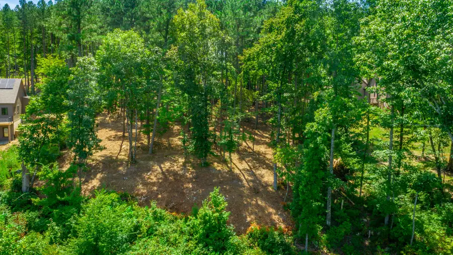 0 Birds Eye Way #Lot 1060, Guild, TN 37340 - #3