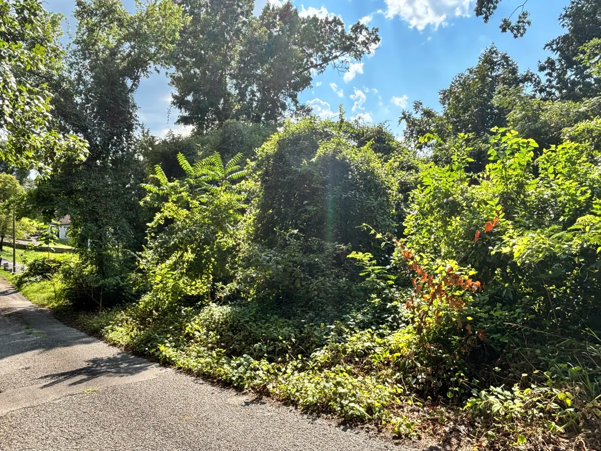 319 Mission Crest Lane, Chattanooga, TN 37404 - #1