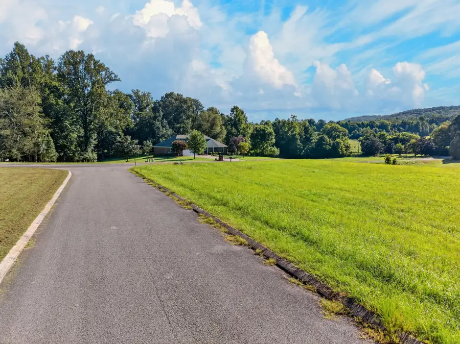 175 Spring Cove Lane #Lot 35, Spring City, TN 37381 - #2
