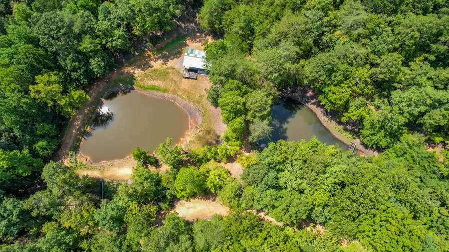 00 Horns Creek Road, Old Fort, TN 37362 - #2