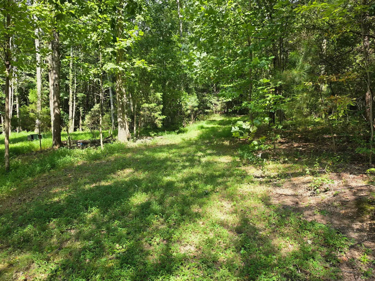 Tract 3 Hotwater Road, Soddy Daisy, TN 37379 - #1