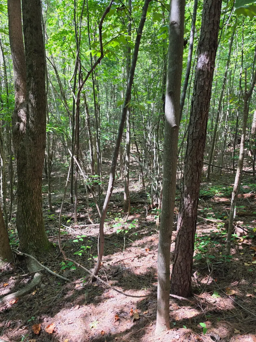 Tract 3 Hotwater Road, Soddy Daisy, TN 37379 - #2