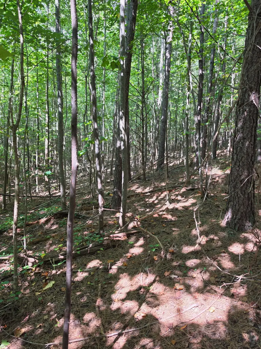 Tract 3 Hotwater Road, Soddy Daisy, TN 37379 - #3