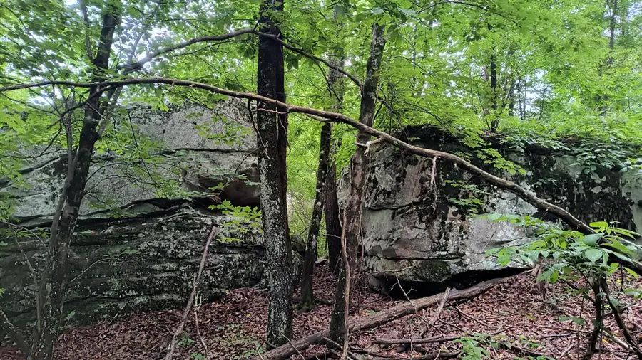 Tract 2 Hotwater Road, Soddy Daisy, TN 37379 - #3