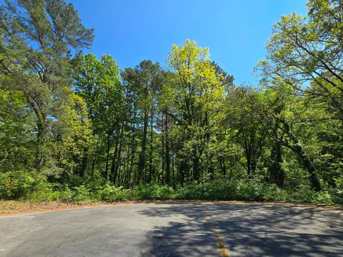 17 Tupelo Court #Lot 17, Chattanooga, TN 37406 - #1