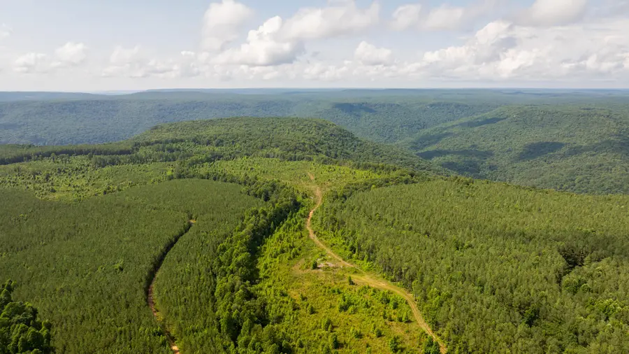 0000 Flowing Well Road, Spencer, TN 38585 - #2