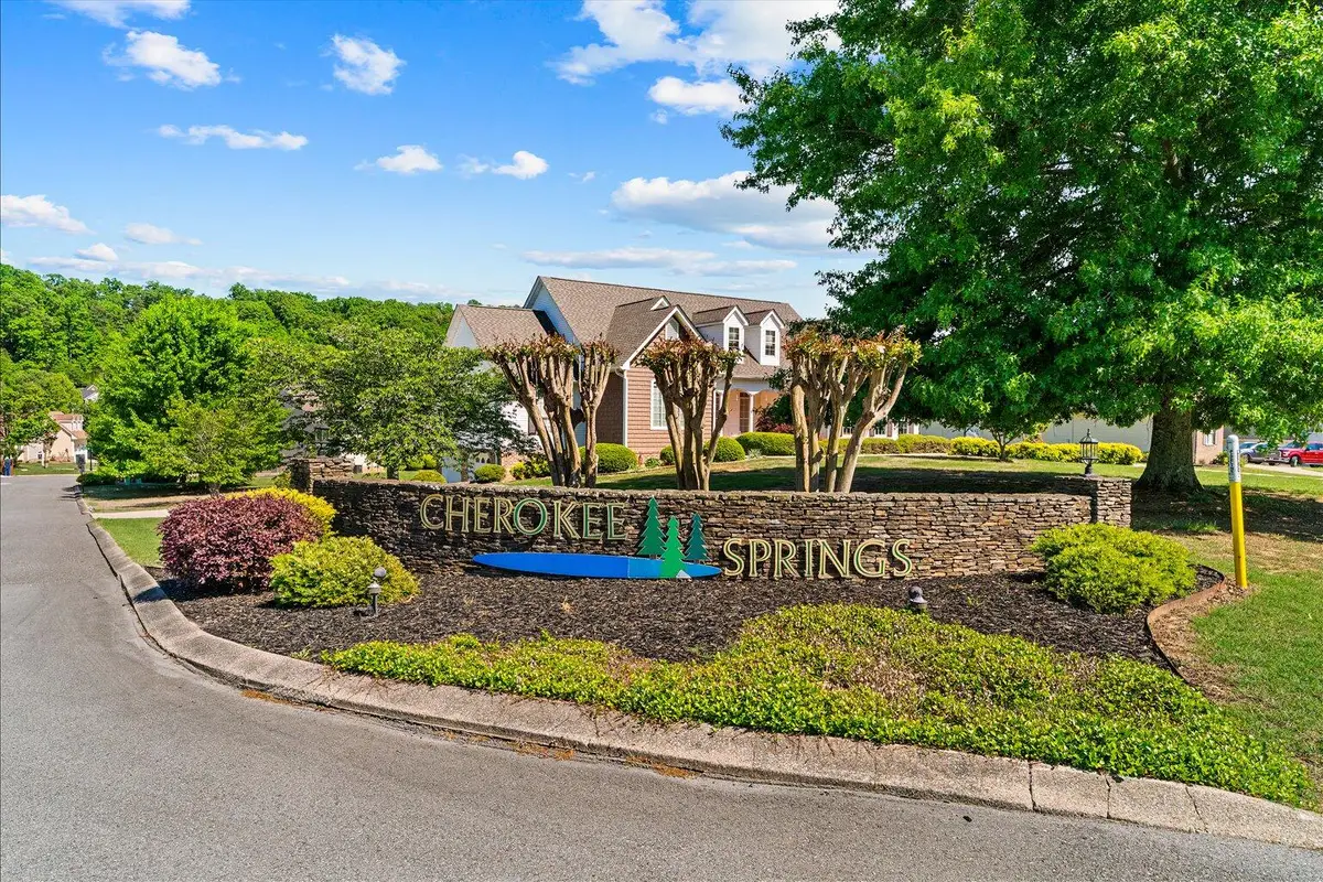42 Canoe Cove Cove, Ringgold, GA 30736 - #1