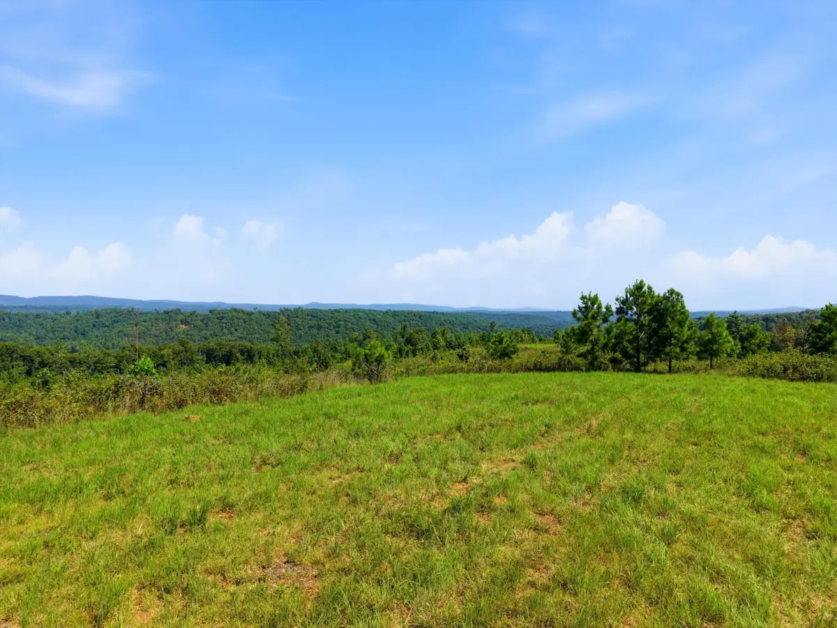 0 Triple Ridge, Lot #2 Trail, Grandview, TN 37337 - #1