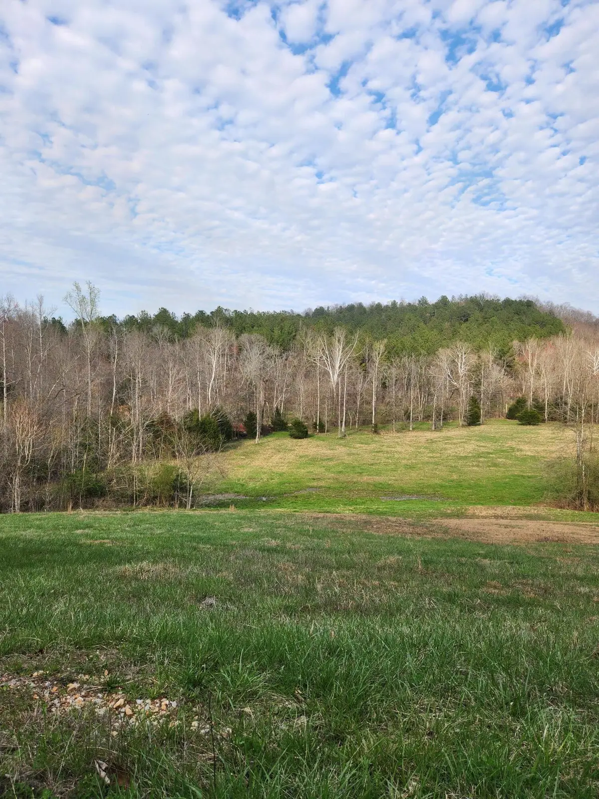 0 Mill Drive #7, Decatur, TN 37322 - #1