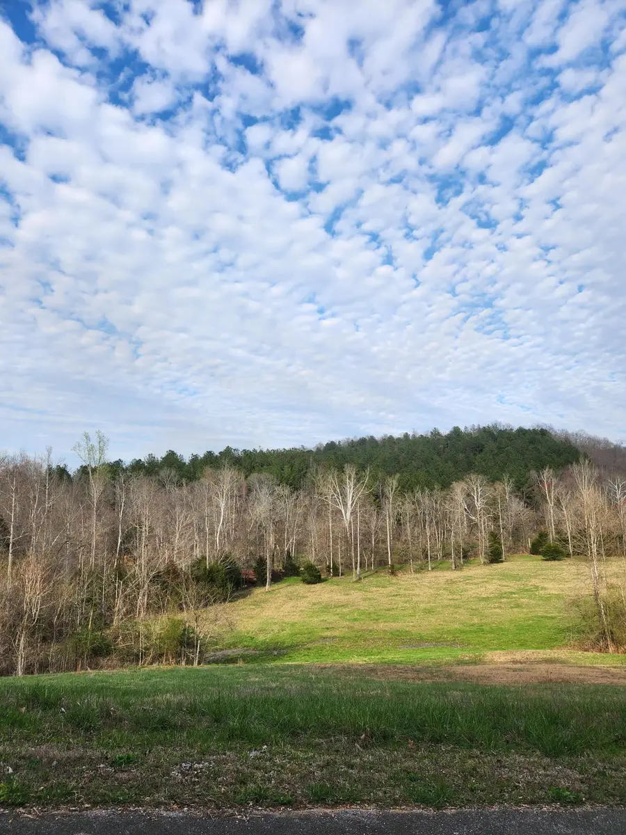 0 Mill Drive #7, Decatur, TN 37322 - #2