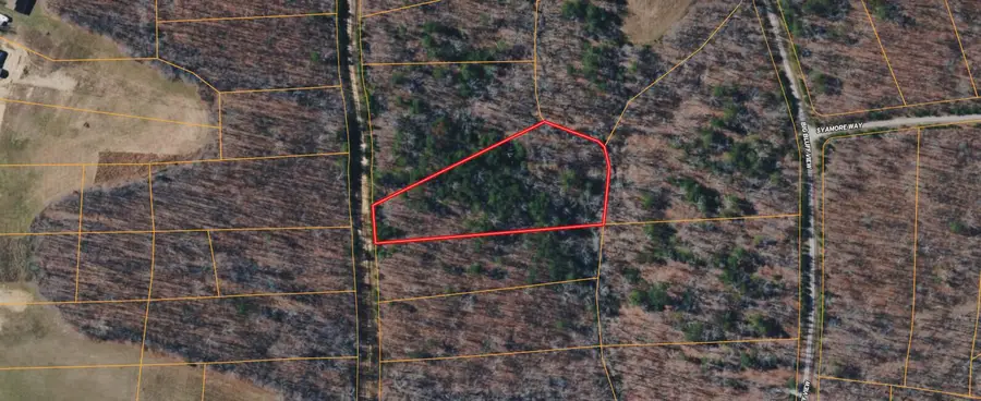 1 Timber View Road, Pikeville, TN 37367 - #3