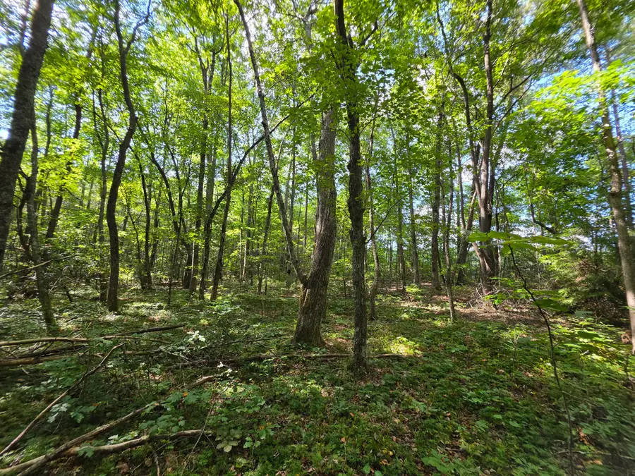 8 Northcutts Cove Road, Beersheba Springs, TN 37305 - #3