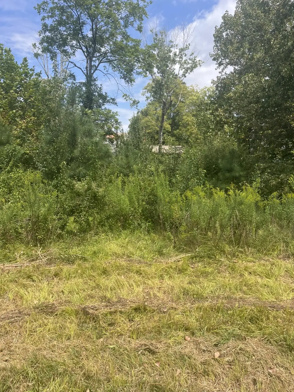 2460 Prospect School Road Nw, Cleveland, TN 37312 - #1