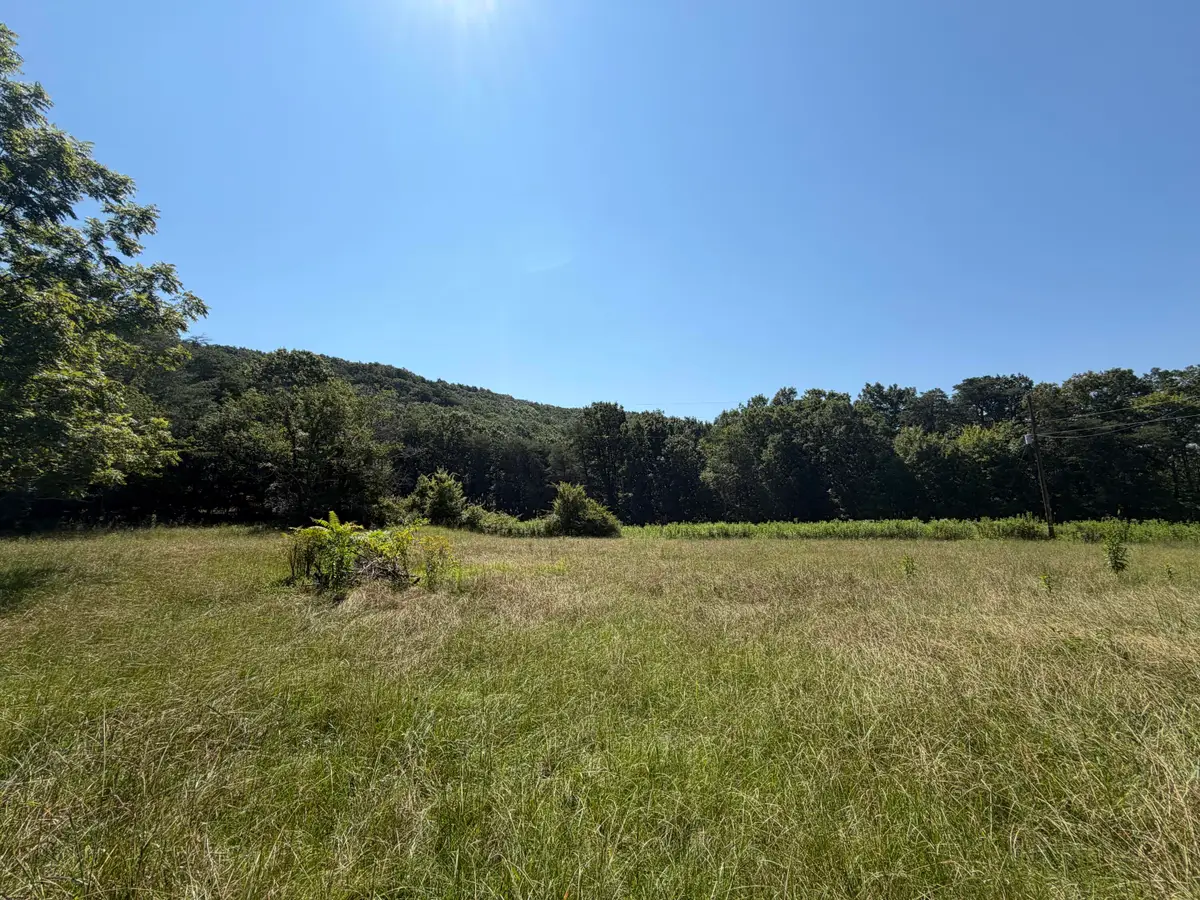 1217 Durham Road, Rising Fawn, GA 30738 - #1