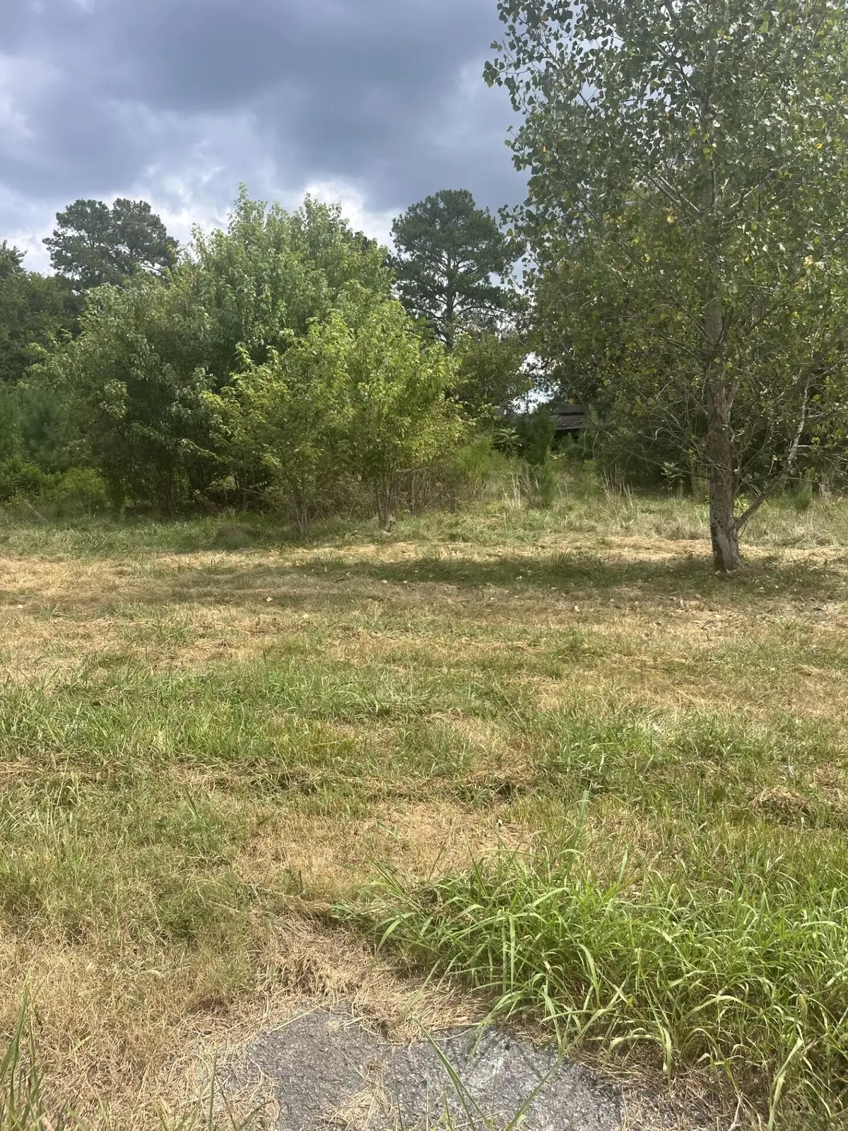 0 Prospect School Road, T#2 Road Nw, Cleveland, TN 37312 - #1
