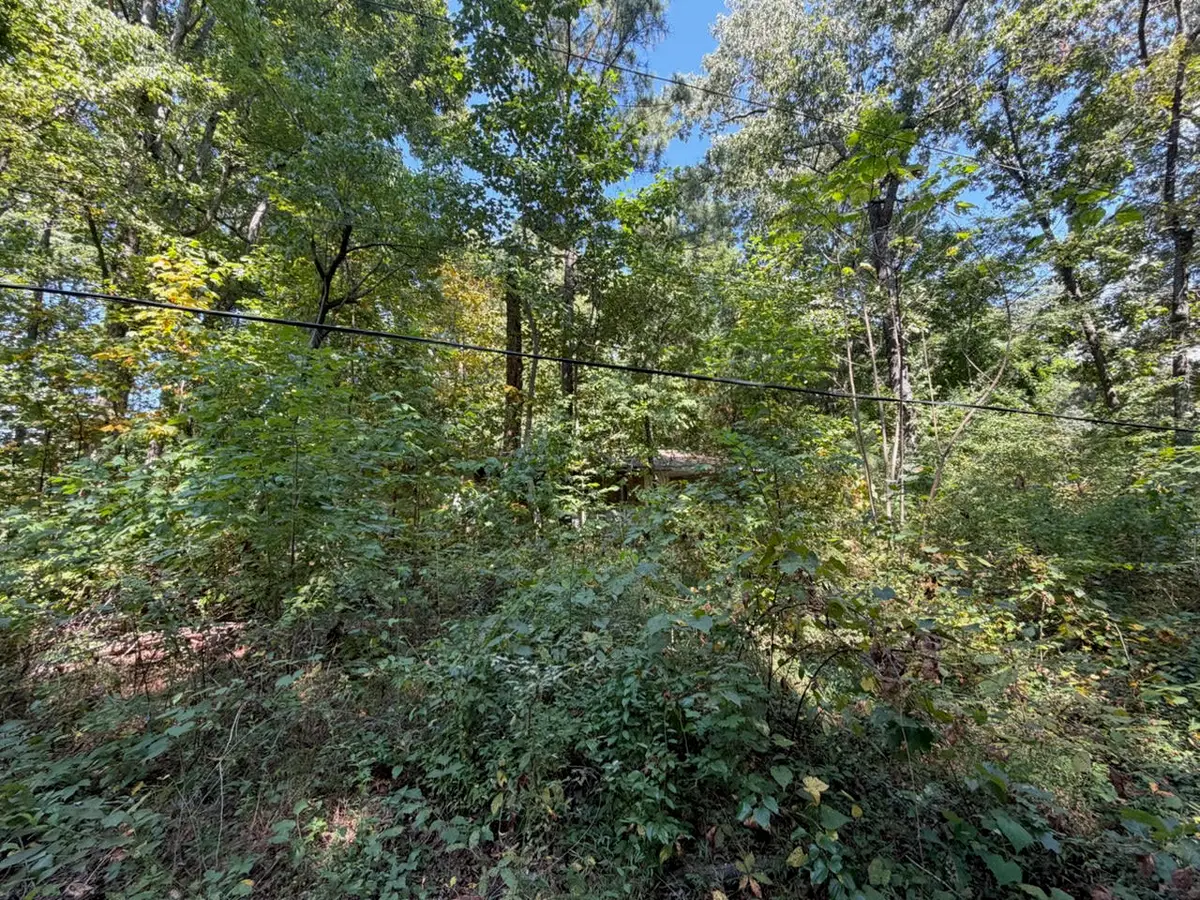 0 Michigan Avenue Road Ne, Cleveland, TN 37323 - #1