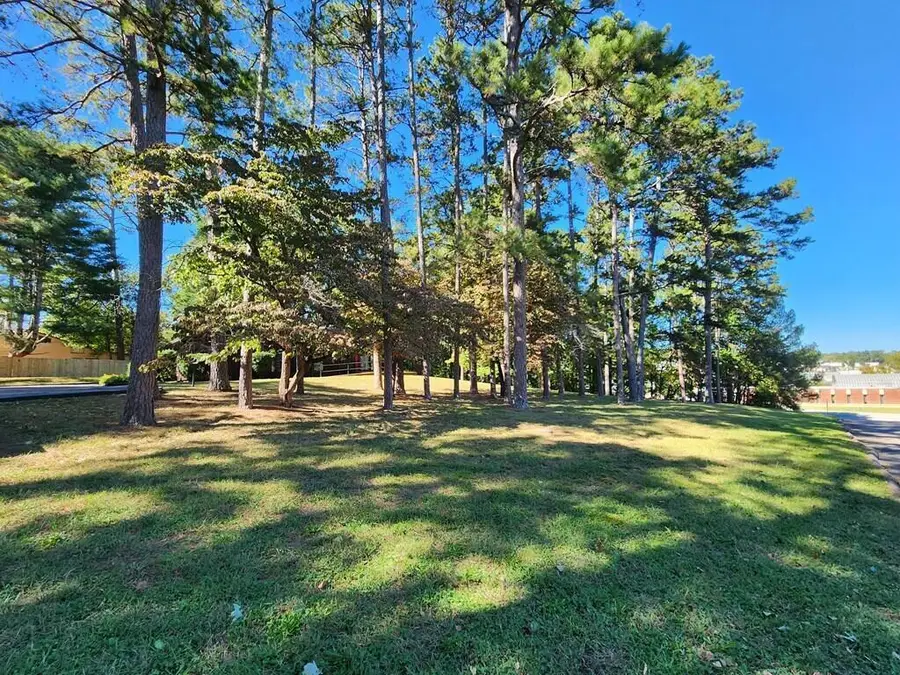 395 River Road, Decatur, TN 37322 - #3