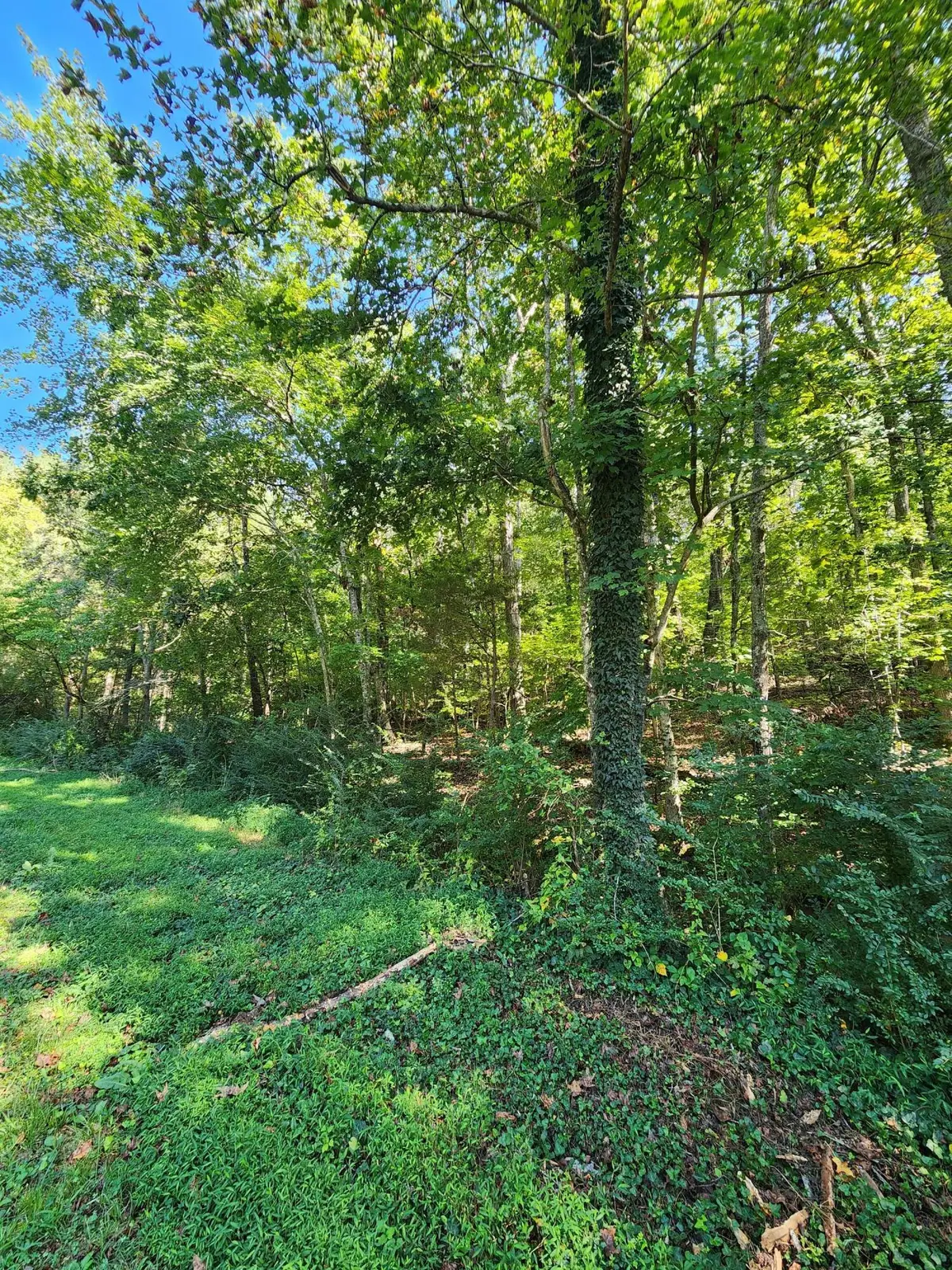 0 Sneed Road #5, Decatur, TN 37322 - #1