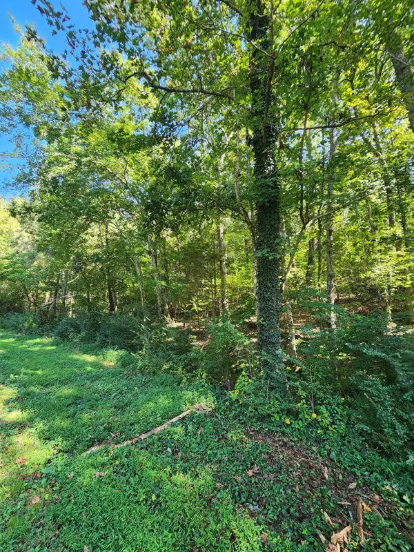 0 Sneed Road #5, Decatur, TN 37322
