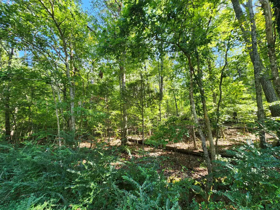0 Sneed Road #5, Decatur, TN 37322 - #2