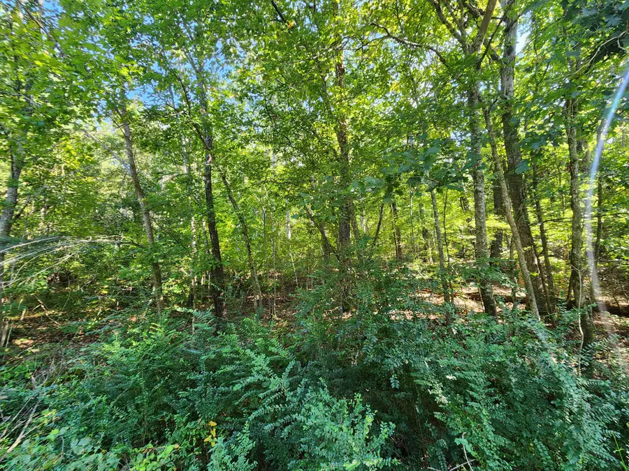 0 Sneed Road #5, Decatur, TN 37322 - #3