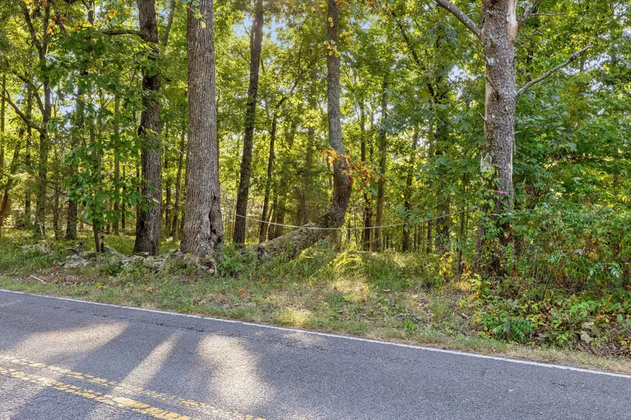 0 Yankee Road, Trenton, GA 30752 - #3