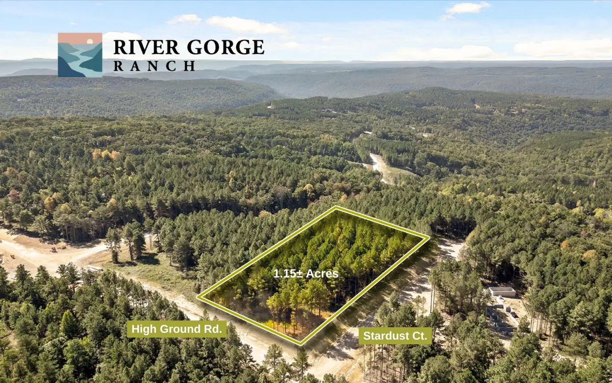 Lot 2002 Stardust Court, Guild, TN 37340 - #1