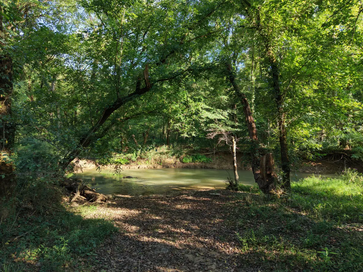 28 County Road, Calhoun, TN 37309 - #1