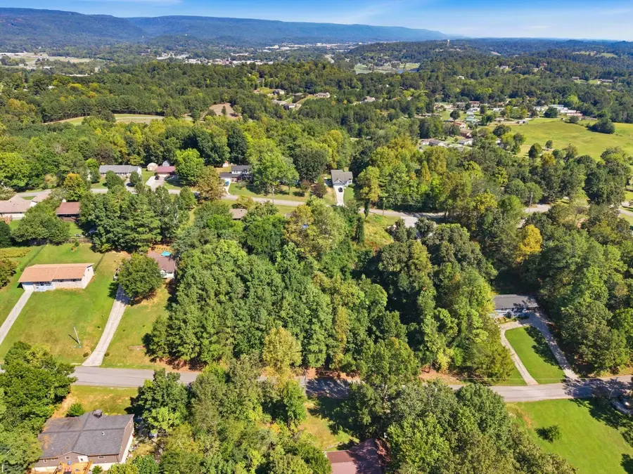 Lot 44 Troy Drive, Dayton, TN 37321 - #3