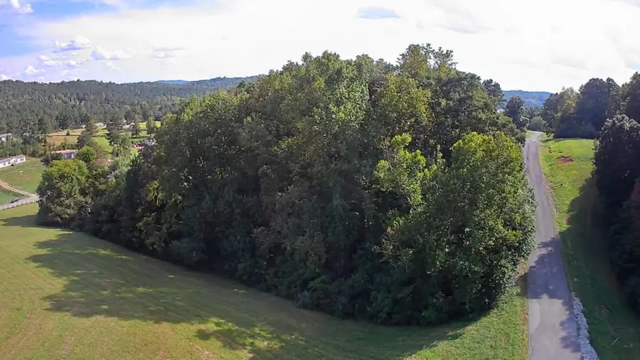 00 Goodfield Terrace #20, Decatur, TN 37322 - #3