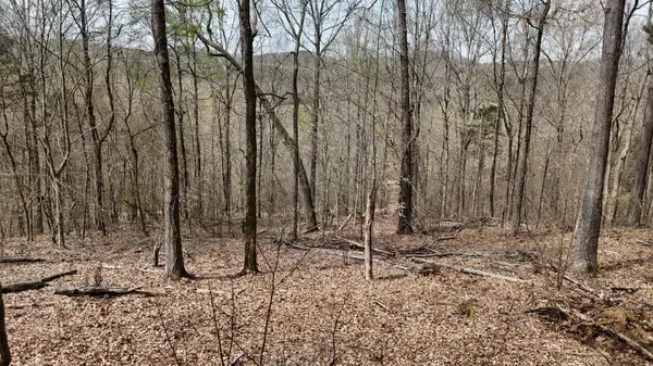 567 Geren Subdivision Lane, Decatur, TN 37322