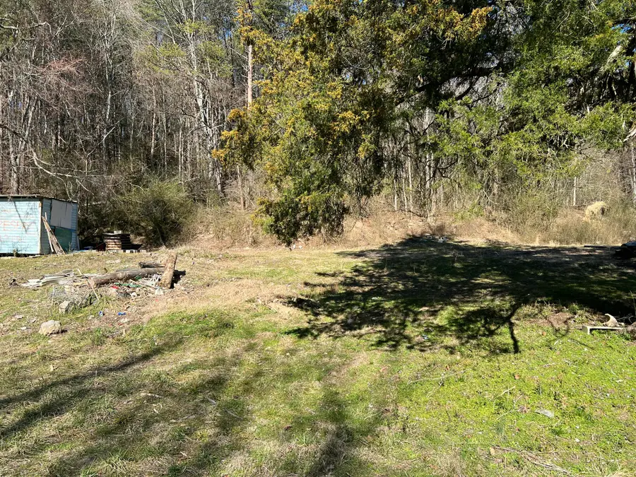 1779 Texas Grove Road, Evensville, TN 37332 - #3