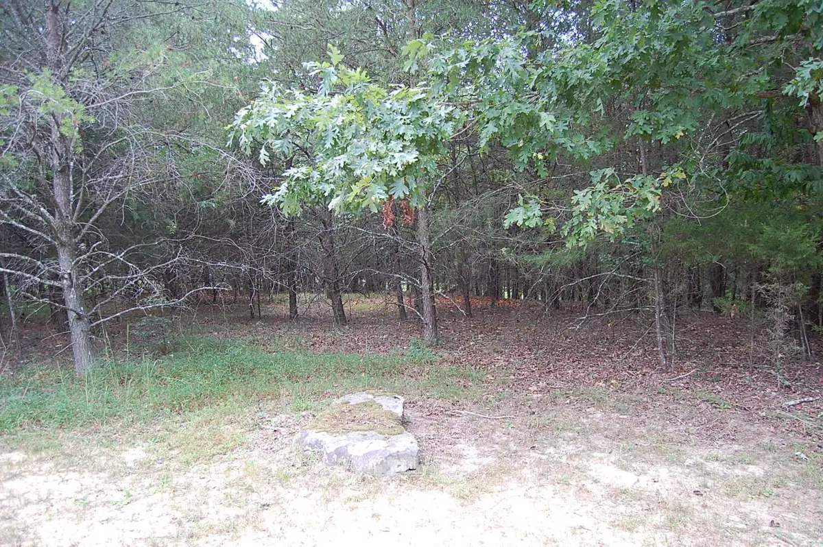 36 Bluff View Drive, Dunlap, TN 37327 - #1