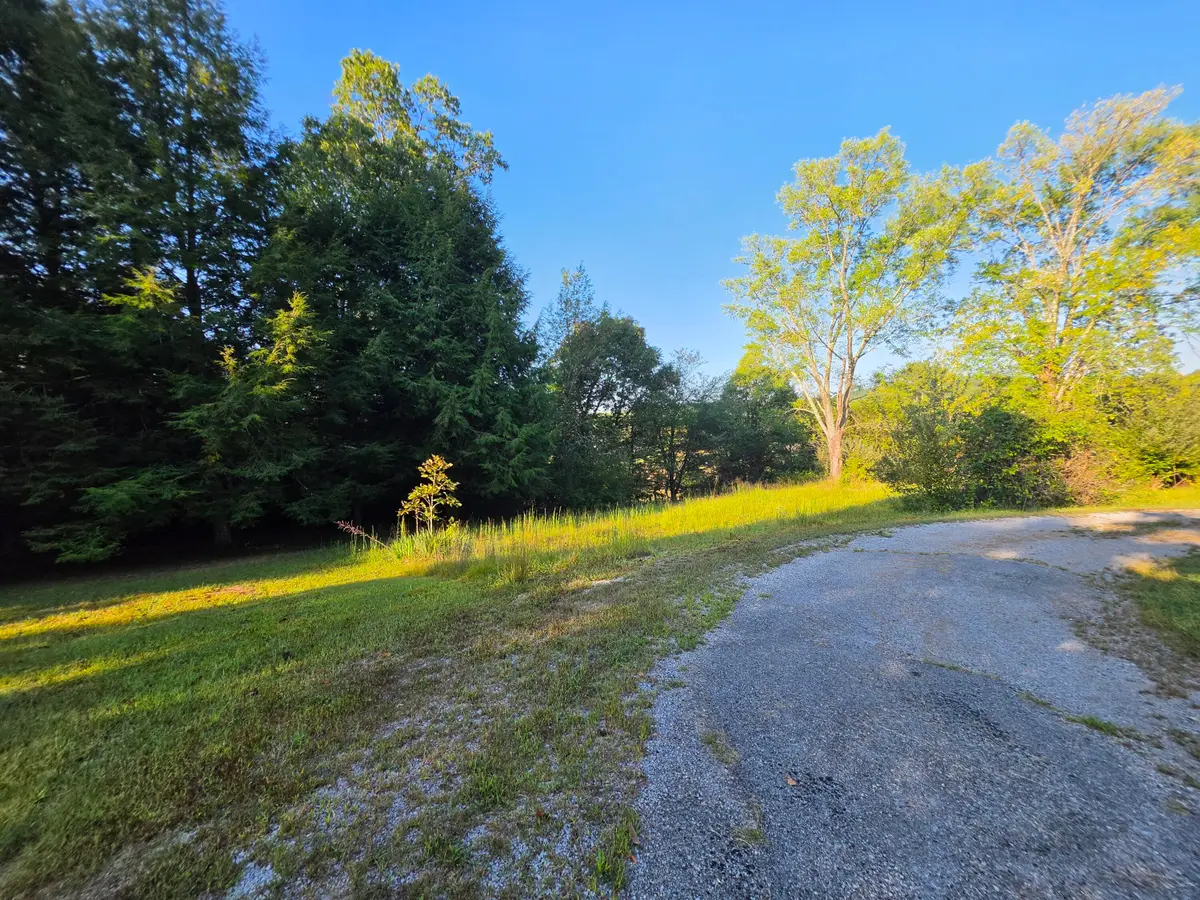 4 Rock Avenue, Palmer, TN 37365 - #1