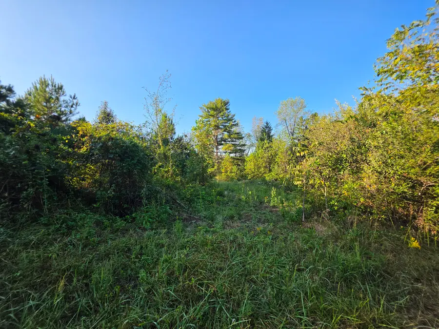 4 Rock Avenue, Palmer, TN 37365 - #3