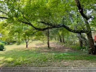 113 Bee Branch Boulevard, Signal Mountain, TN 37377 - #3