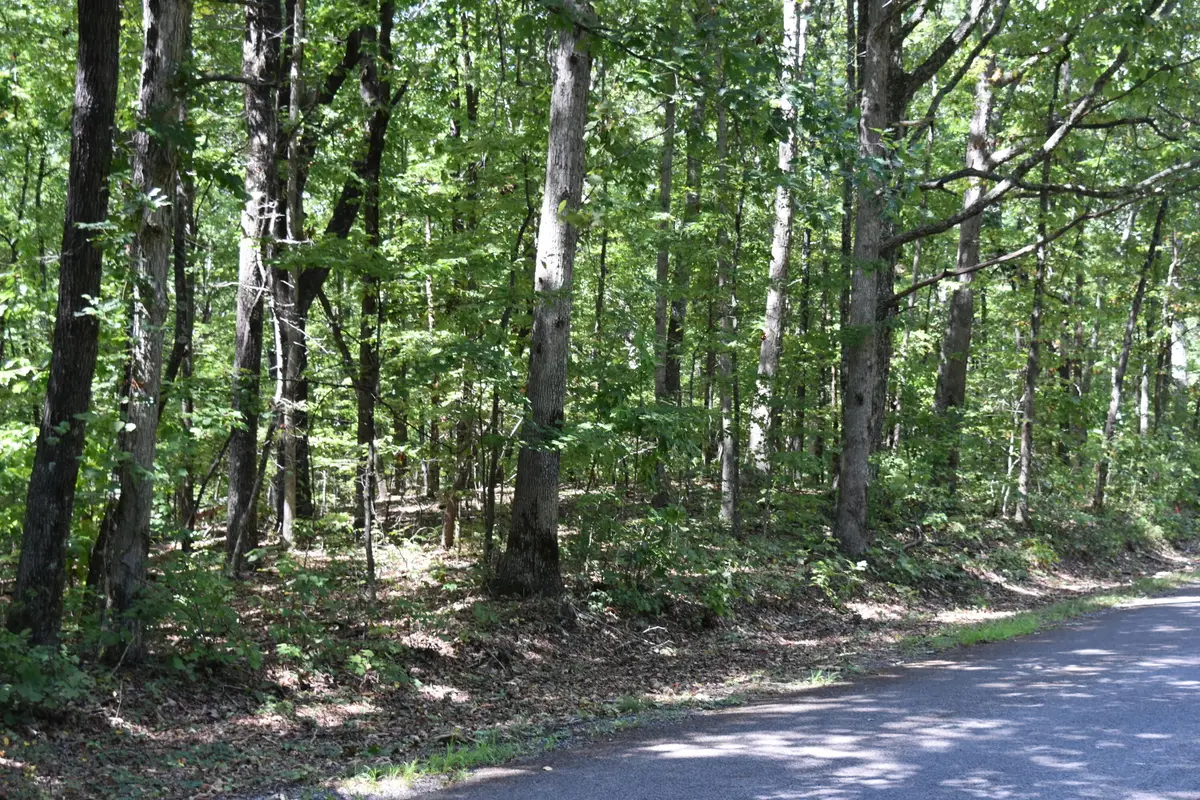 0 Lower Firetower Road, Sequatchie, TN 37374 - #1