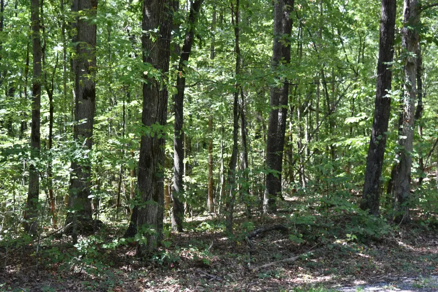 0 Lower Firetower Road, Sequatchie, TN 37374 - #3