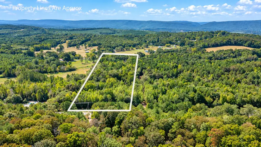 0 Ridgeway Rd Road, Trion, GA 30753 - #2