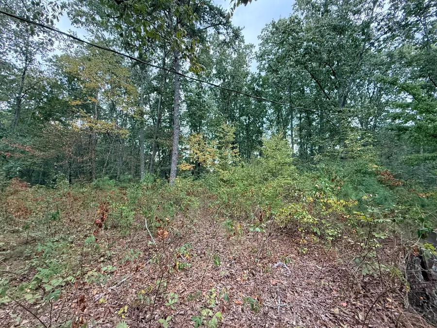 414 Hartline Road, Trenton, GA 30752 - #3