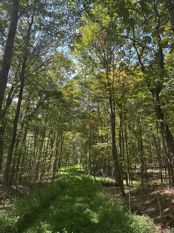 Lot 13 Hickory Hollow Sub Road #Lot 13, Tracy City, TN 37387
