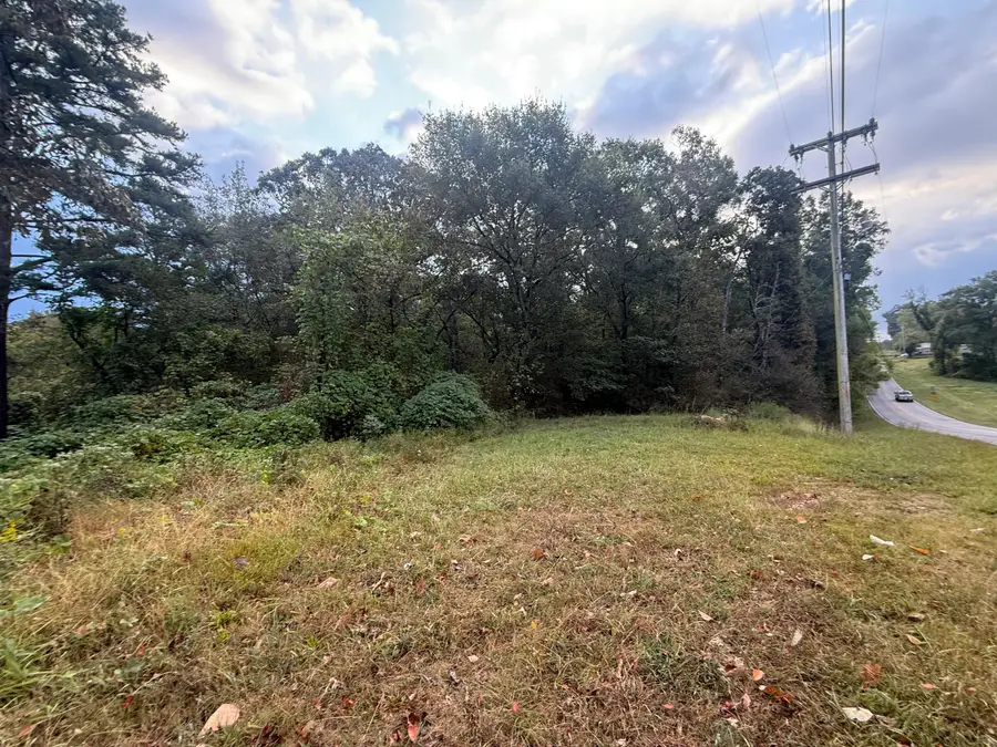 0 11th Street, Bridgeport, AL 35740 - #2