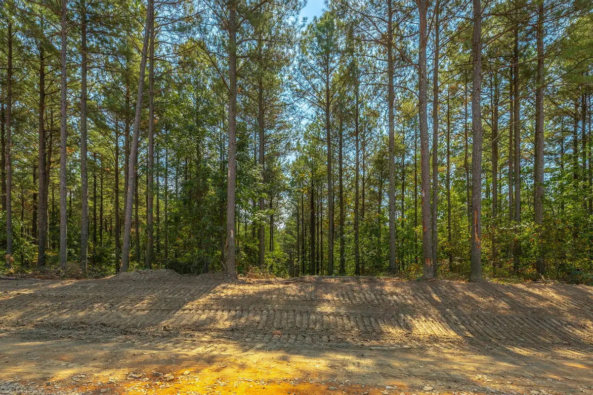 0 Constellation Court #Lot 2039, Guild, TN 37340 - #1