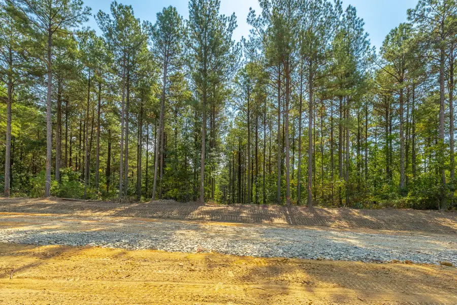 0 Constellation Court #Lot 2039, Guild, TN 37340 - #3