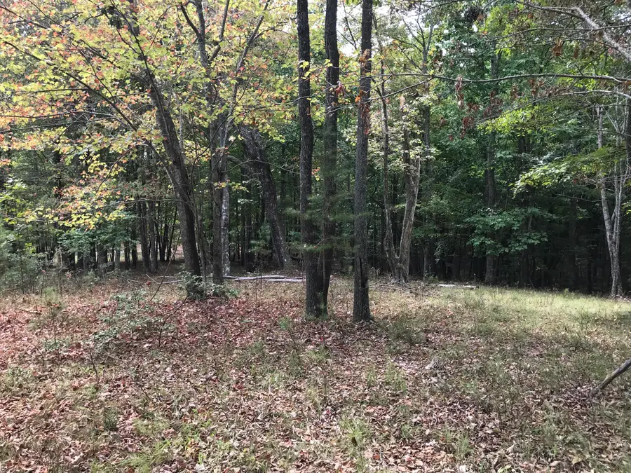 103-B Bluffview Drive #103-B, Dunlap, TN 37327 - #2