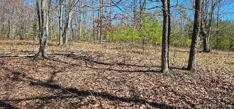 103-B Bluffview Drive #103-B, Dunlap, TN 37327 - #3