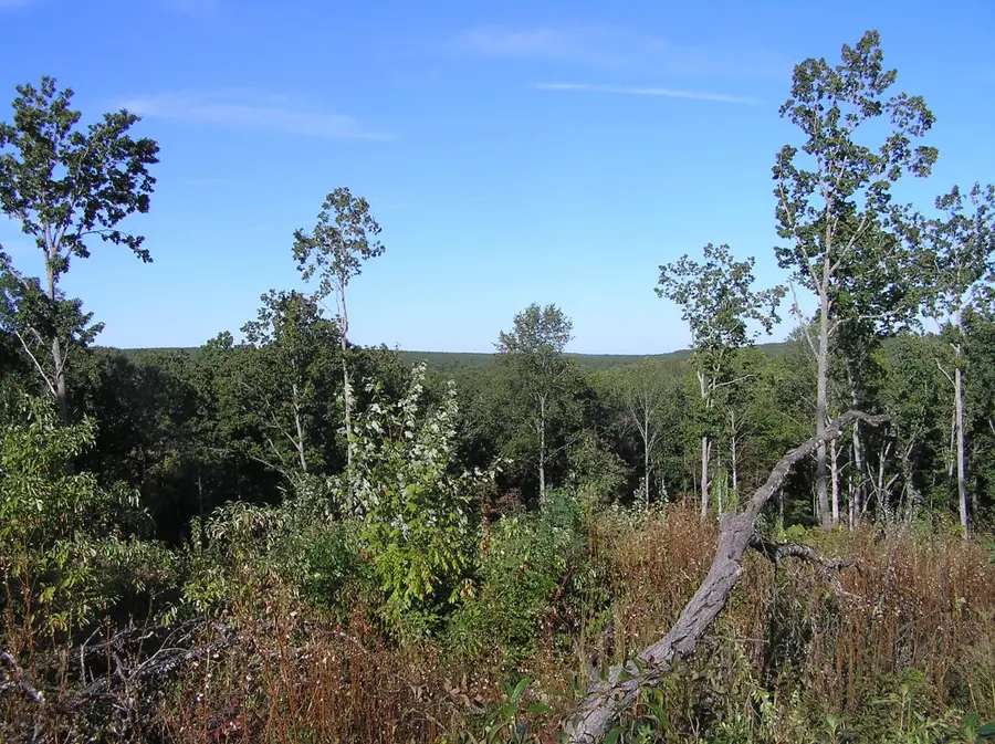 452 Shadowland Drive #11, Graysville, TN 37338 - #3
